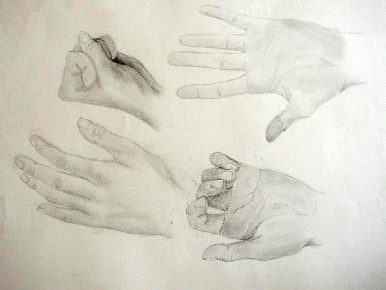 studie rukou